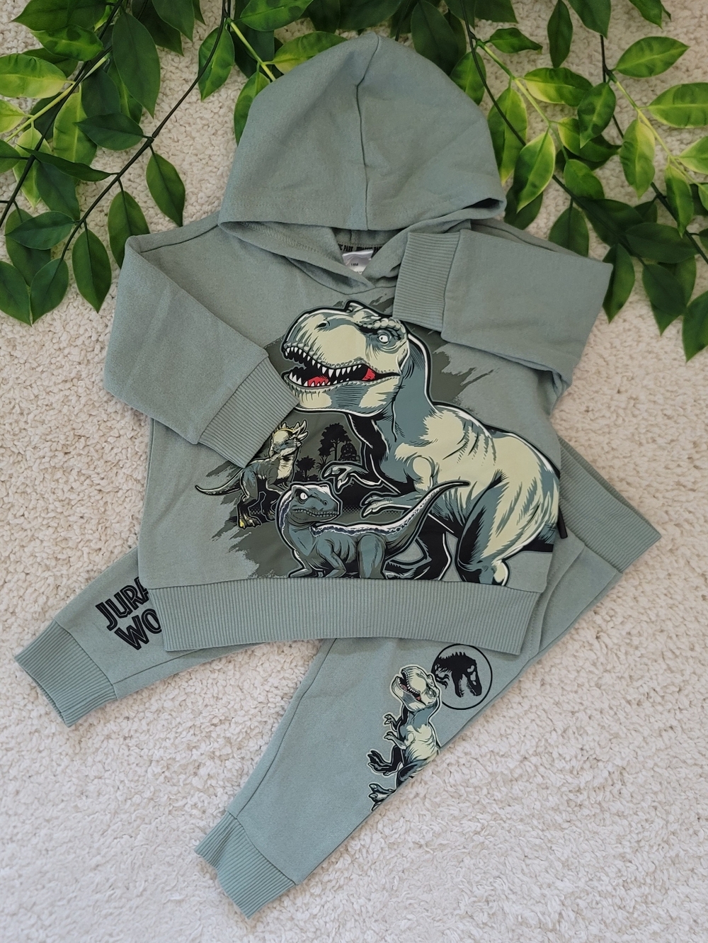 Baby Boy Jurassic World Sage Green Sweat Set (12-18 Months)